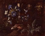SCHRIECK, Otto Marseus van Blaue Winde, Krote und Insekten oil painting